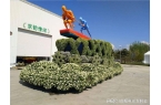 光车卡通角色定制提升趣味性新葡京娱乐场a